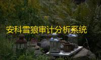 安科雪狼审计分析系统 5.65 免费版